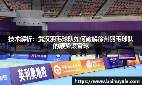 技术解析：武汉羽毛球队如何破解徐州羽毛球队的顺势滚雪球
